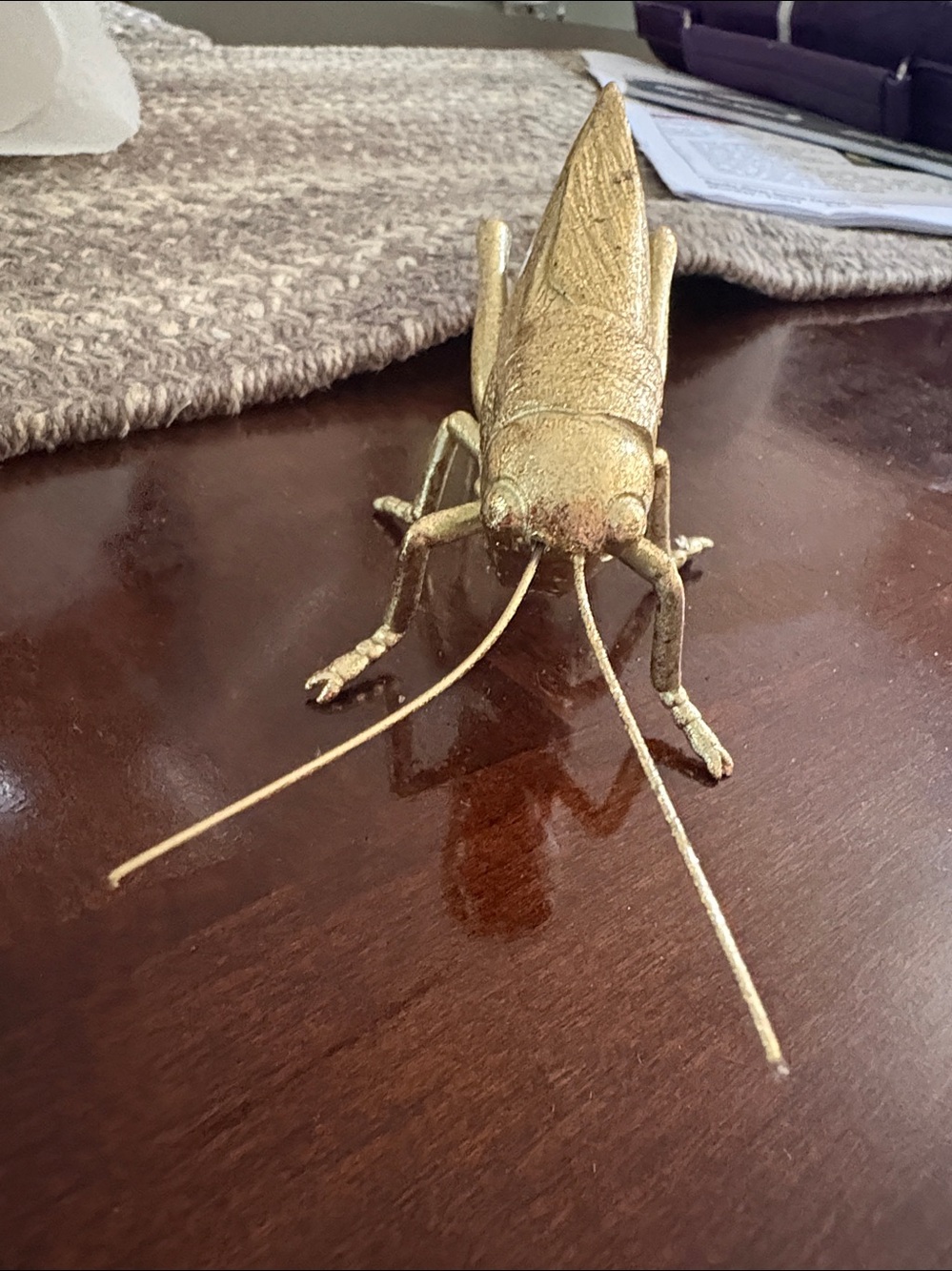 Grasshopper - Picture 2 of 4